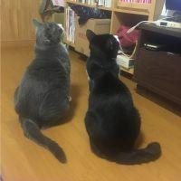 my generation 会員画像
