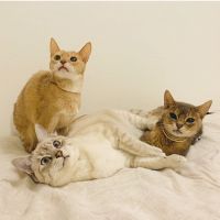 まりぽこ 会員画像
