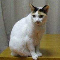 会員画像