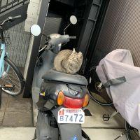 会員画像