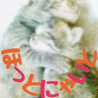 ほっとにゃいと 会員画像