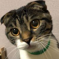 会員画像