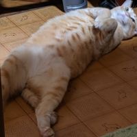 会員画像