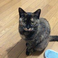 Chay 会員画像