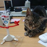 安田スバルさん