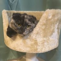 miyon 会員画像
