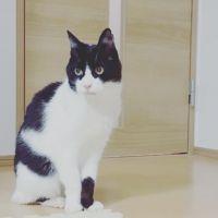 ぽっぽ25 会員画像