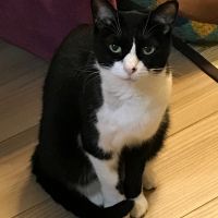 shi-chanさん