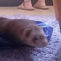 ミーちゃん太郎さん