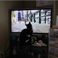 ウェルネス郡 会員画像