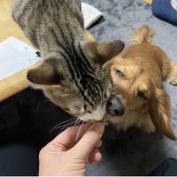RENままさん
