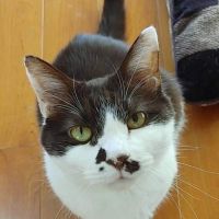 会員画像