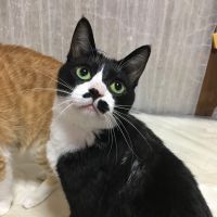 会員画像