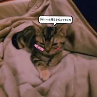みさっちTenさん