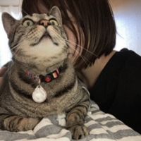 Cats4メグミ 会員画像