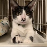 みっちとりつ 会員画像