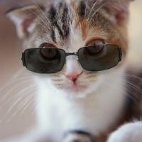 kippyさん