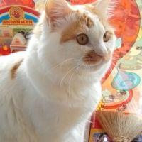 ローズマリー好きさん