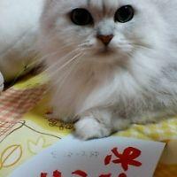 会員画像