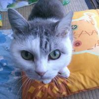 あお♪ 会員画像
