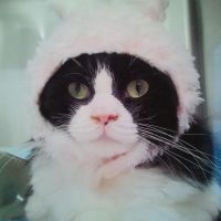 mariちゃんさん