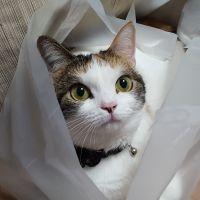 まちゃみ1116さん