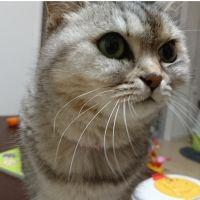 会員画像