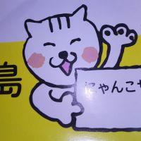 にゃんこサポート三島
