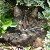 Cekko75 会員画像