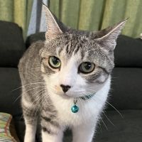 カミヒロ 会員画像
