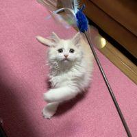 会員画像
