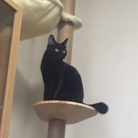 ミヤノさん