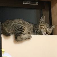 おうゆう 会員画像