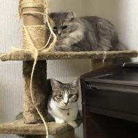 会員画像