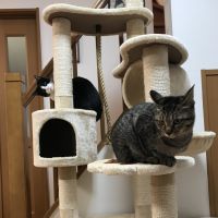 会員画像