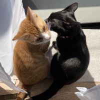 会員画像