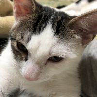 おーたんず 会員画像