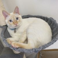 mi___na. 会員画像