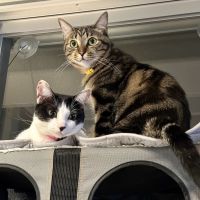 ともちんぶすさん