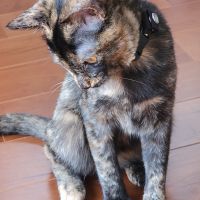 あみ421 会員画像