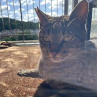 まぼどん 会員画像