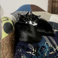 田舎暮らしのけんけん 会員画像