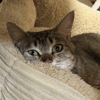 むうむう0606 会員画像