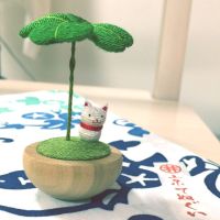 まるめがねゆめのさん