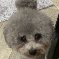 黒髪ゆうきさん