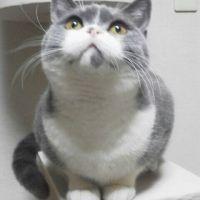 はる君ママ 会員画像