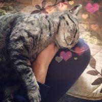 あゆな 会員画像