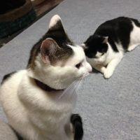杏珠 会員画像
