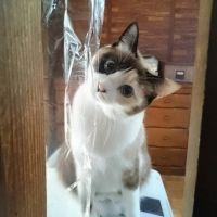 たぬさん 会員画像