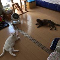 yuki.thgu 会員画像